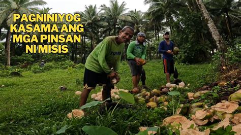 Tinuhog Ang Mga Pinsan .
